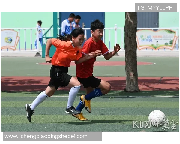 抚宁地区足球明星的成长历程与成就盘点