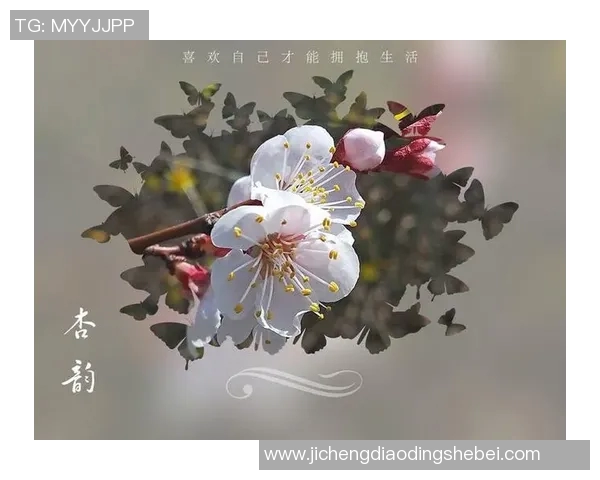 繁花盛开之际足球明星的身影是否悄然绽放在其中