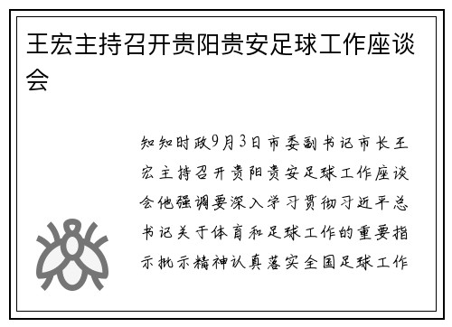 王宏主持召开贵阳贵安足球工作座谈会